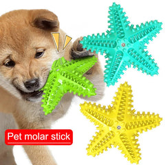 Dog Toys Dogs Accessories Toys for dogs Starfishs Shape Dog Molar Stick Durable Healthy Toothbrush Biting Toy Pet Supplies Sale